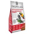 Hagen Tropican Granulés de haute performance pour perroquets Hot on Sale