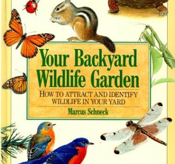 Your Backyard Wildlife Garden: How to Attract and Identify Wildlife in Your Yard Sale